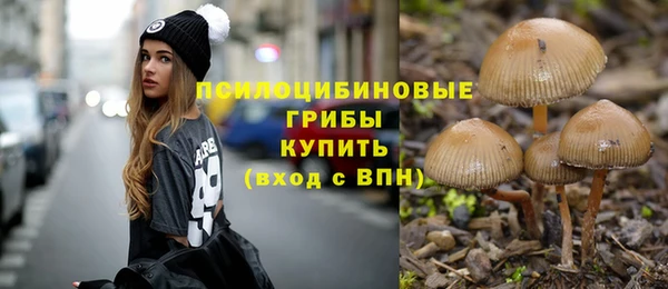 дмт Алзамай