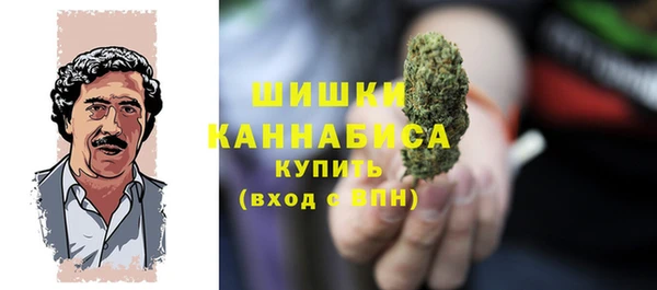 сатива Зеленодольск