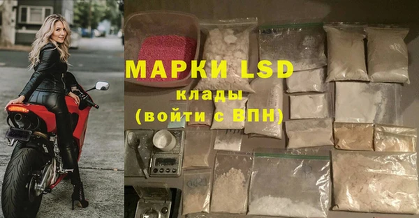 дмт Алзамай