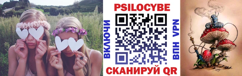 Псилоцибиновые грибы Psilocybine cubensis  Рославль 
